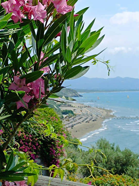 Ausblick TUI BLUE Seno - Adults Only