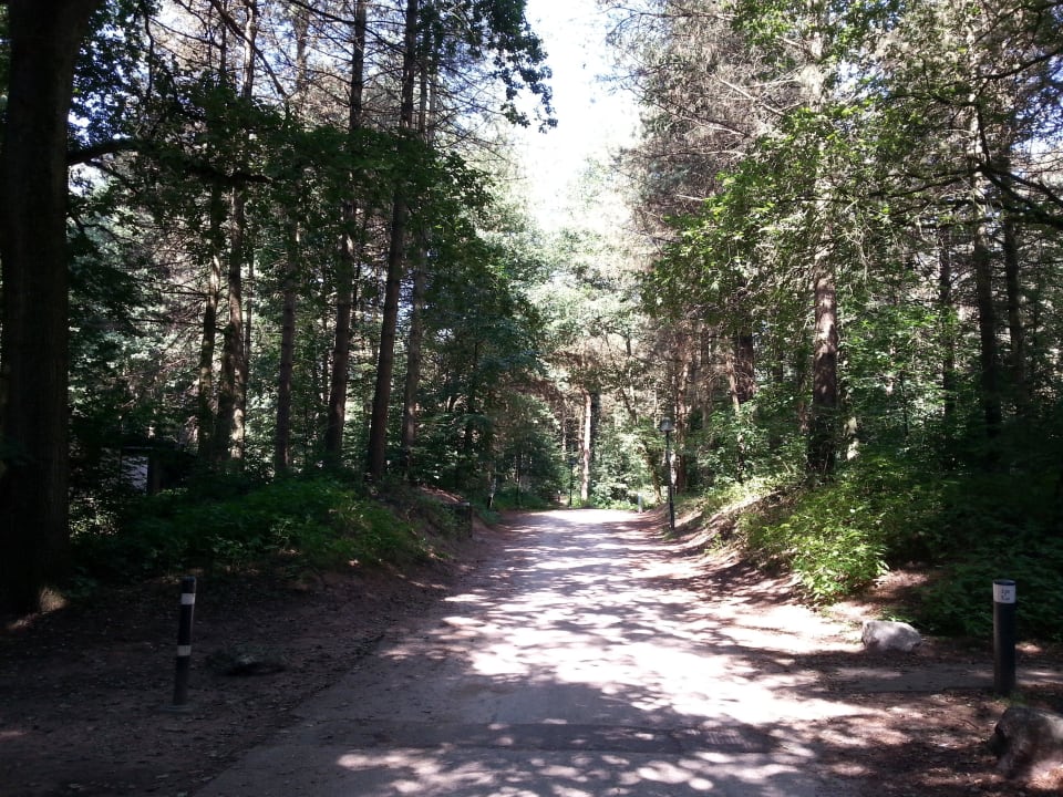 Natur Center Parcs Het Heijderbos