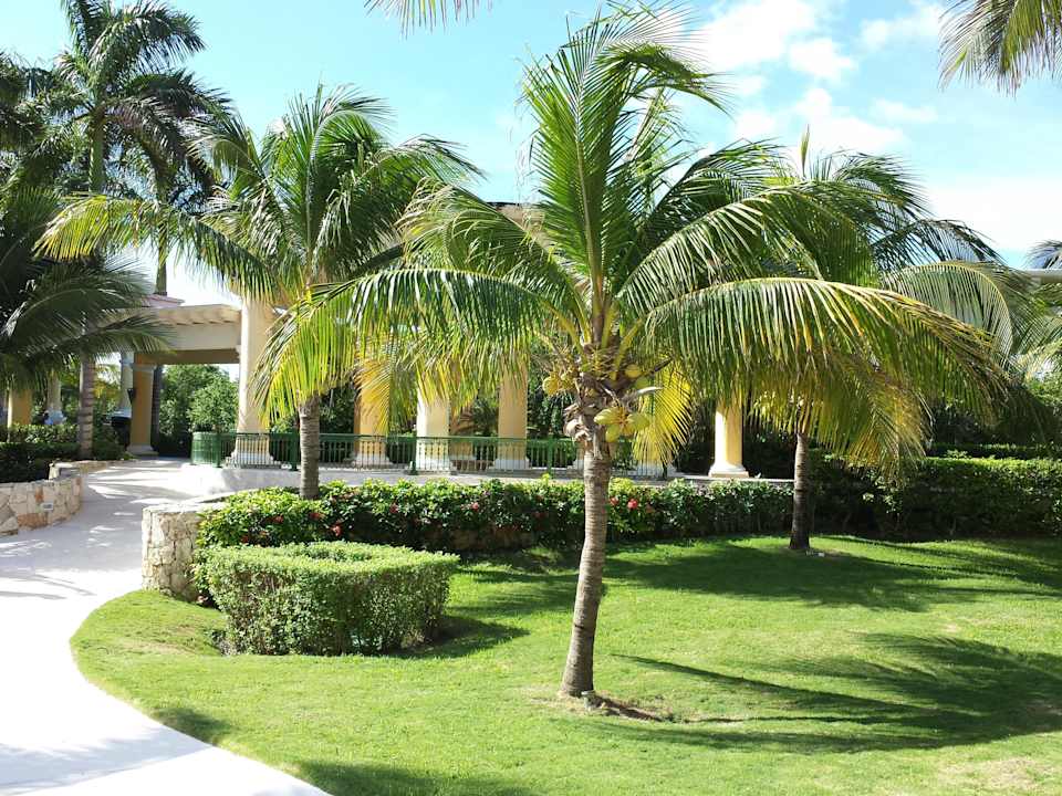 Bereiche um den Hauptpool JOIA Paraiso by Iberostar