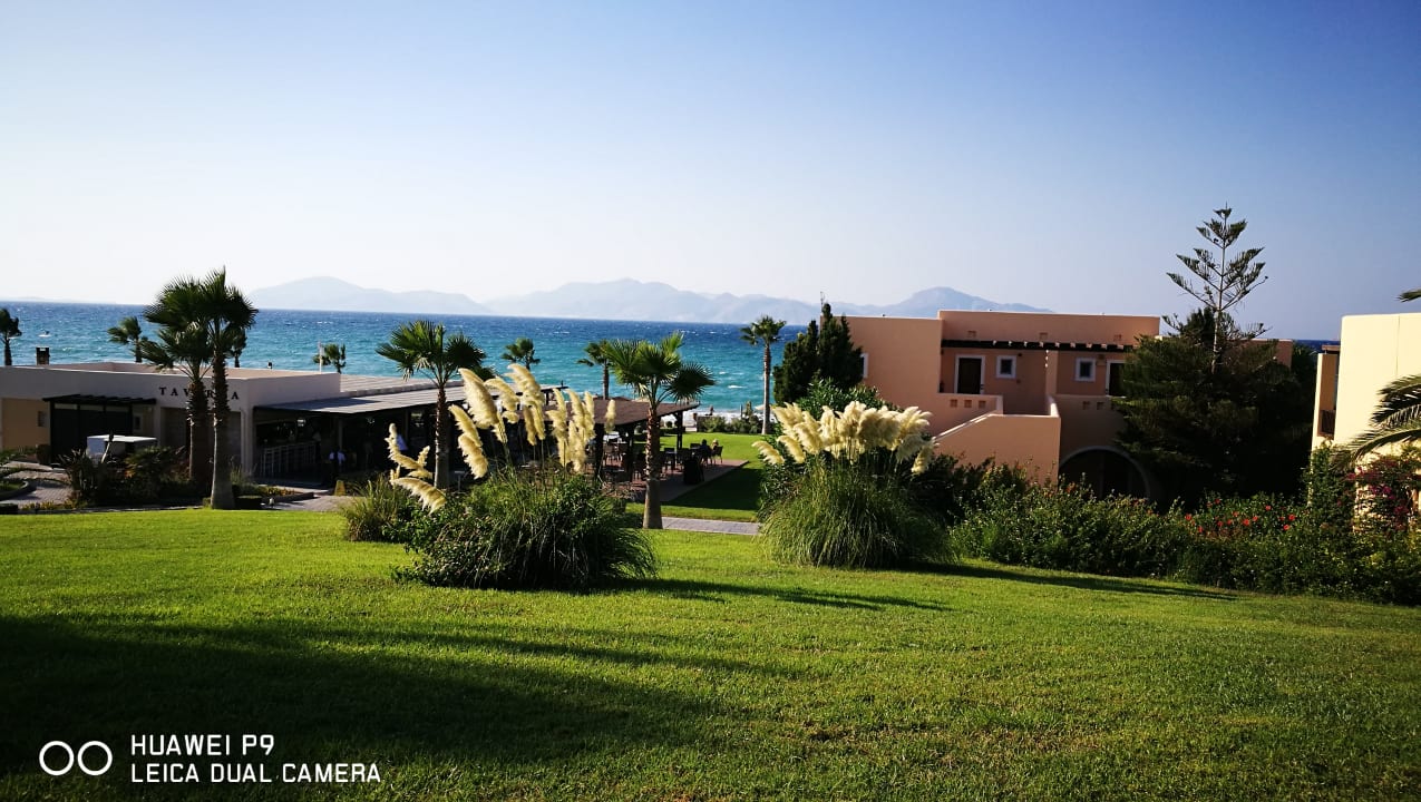 Gartenanlage Hotel Horizon Beach Resort