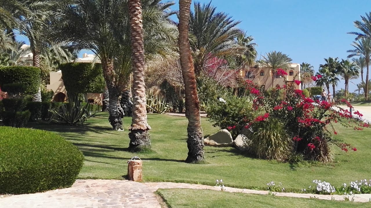 Gartenanlage Steigenberger Coraya Beach - Adults only