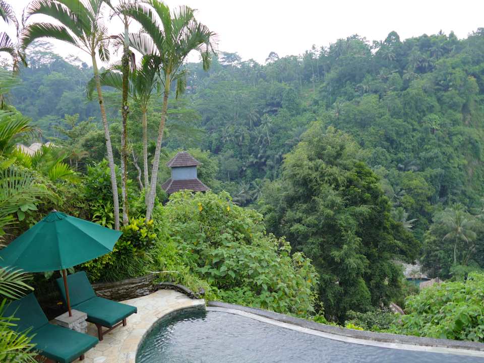 Pool Hotel The Royal Pita Maha