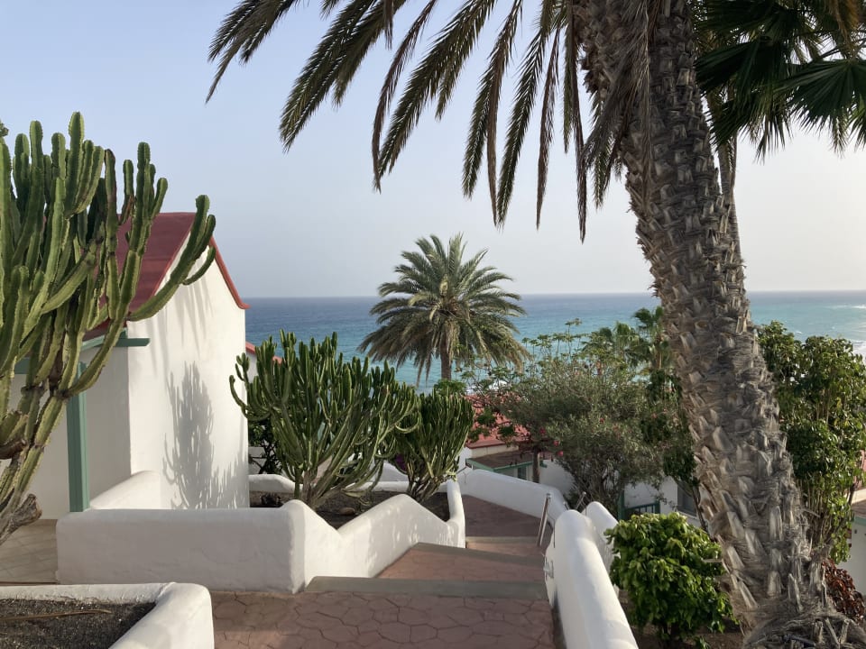Ausblick Aldiana Club Fuerteventura