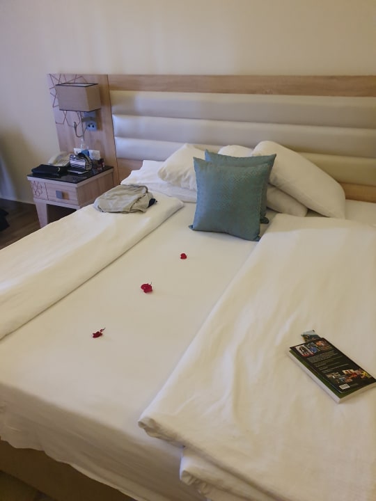 Zimmer Pickalbatros Aqua Vista Resort - Hurghada