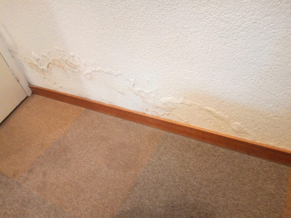 Zimmer Center Parcs De Vossemeren