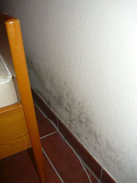 Schimmel Schlafzimmer Ferienparadies Klingberg