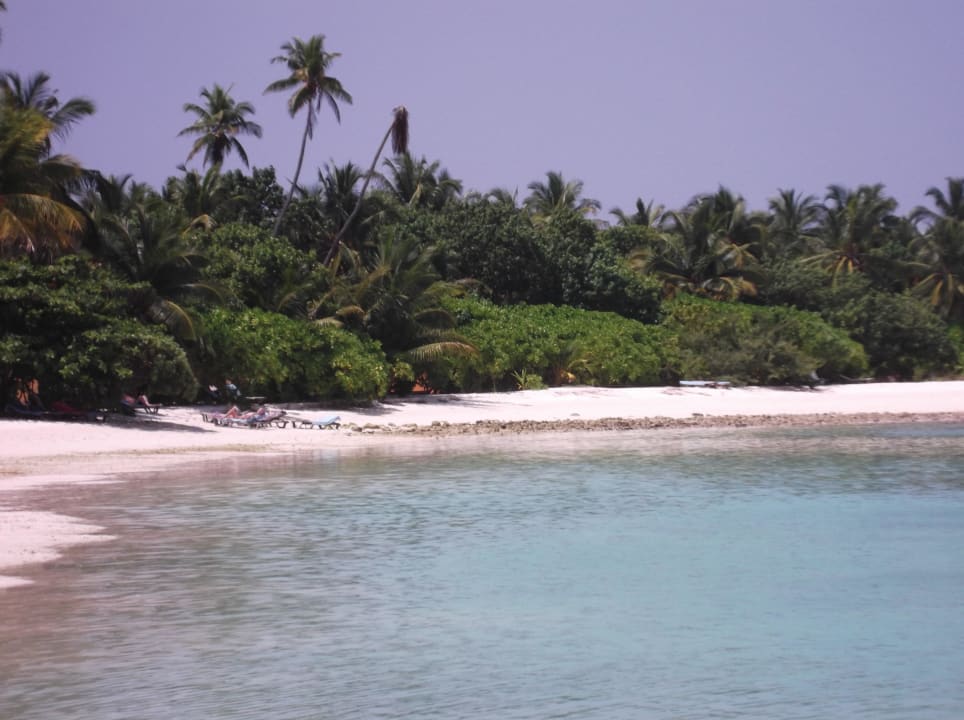 Fast alleine Kuredu Island Resort & Spa