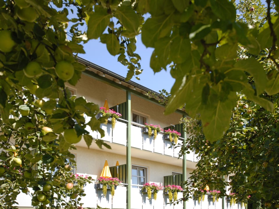 Blick vom Obstgarten zum Hotel Hotel Alter Weißbräu