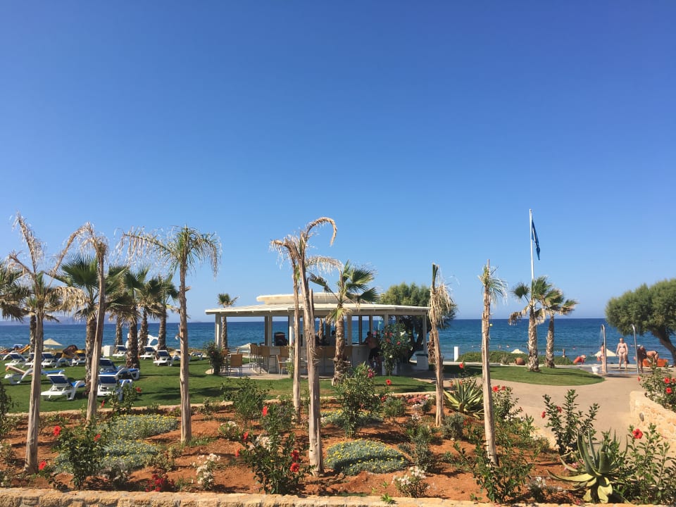 Gartenanlage Lyttos Beach Hotel
