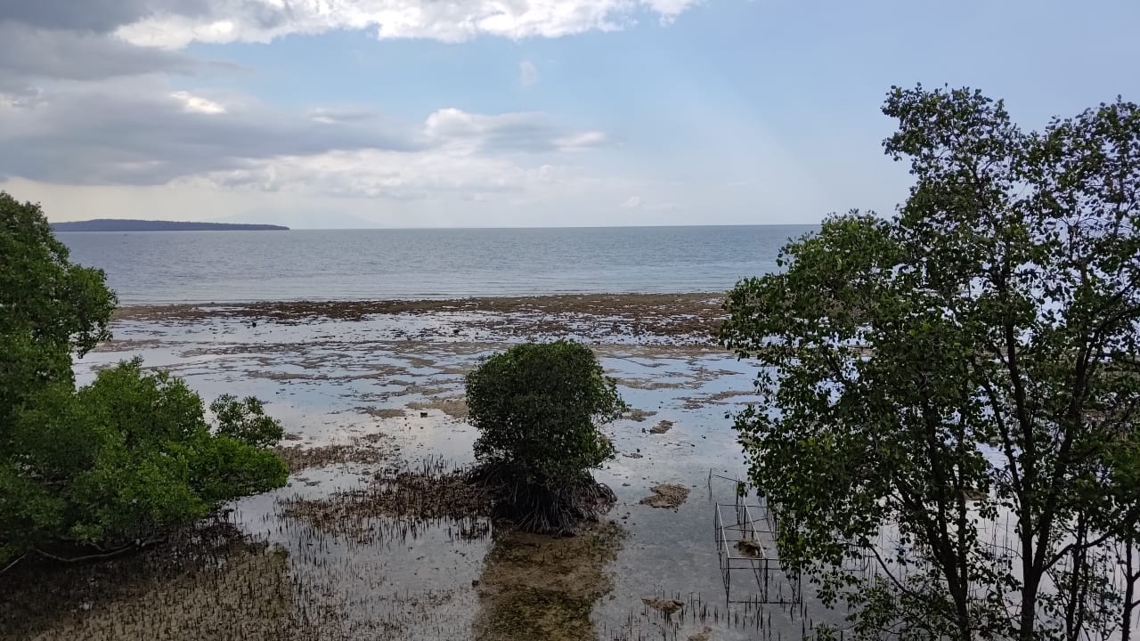 Ausblick Plataran Menjangan Resort & Spa