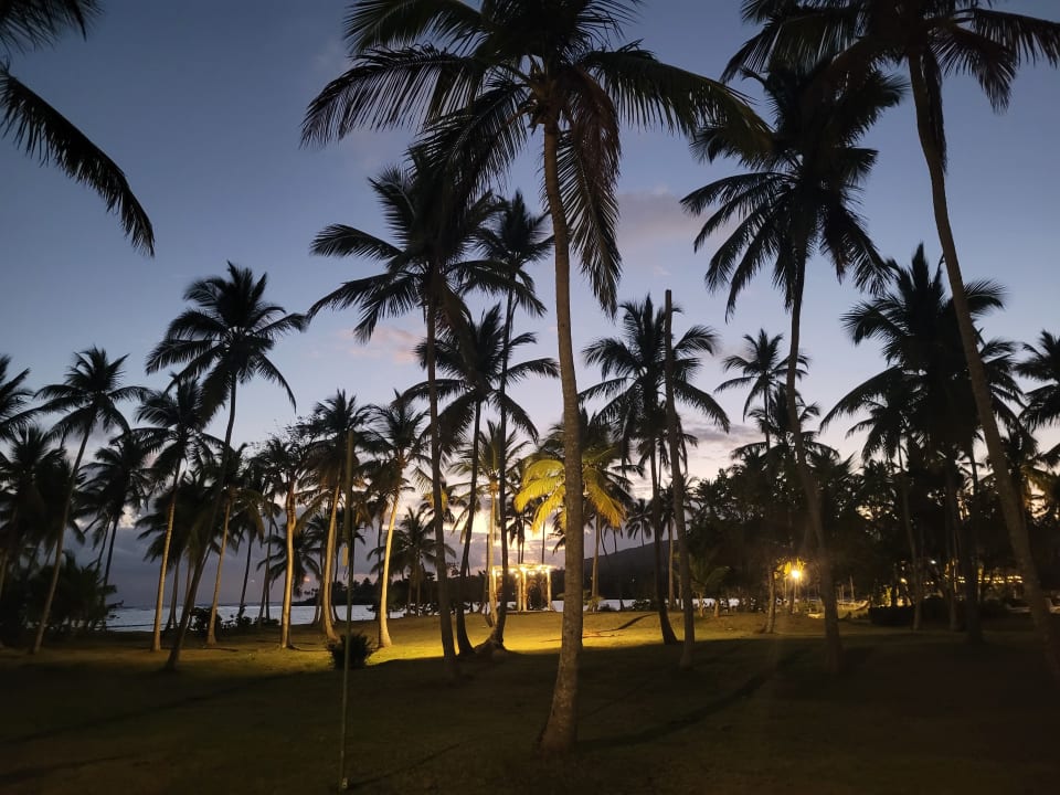 Gartenanlage Wyndham Alltra Samana