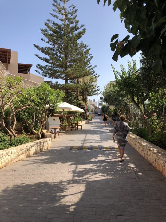 Gartenanlage Cactus Beach