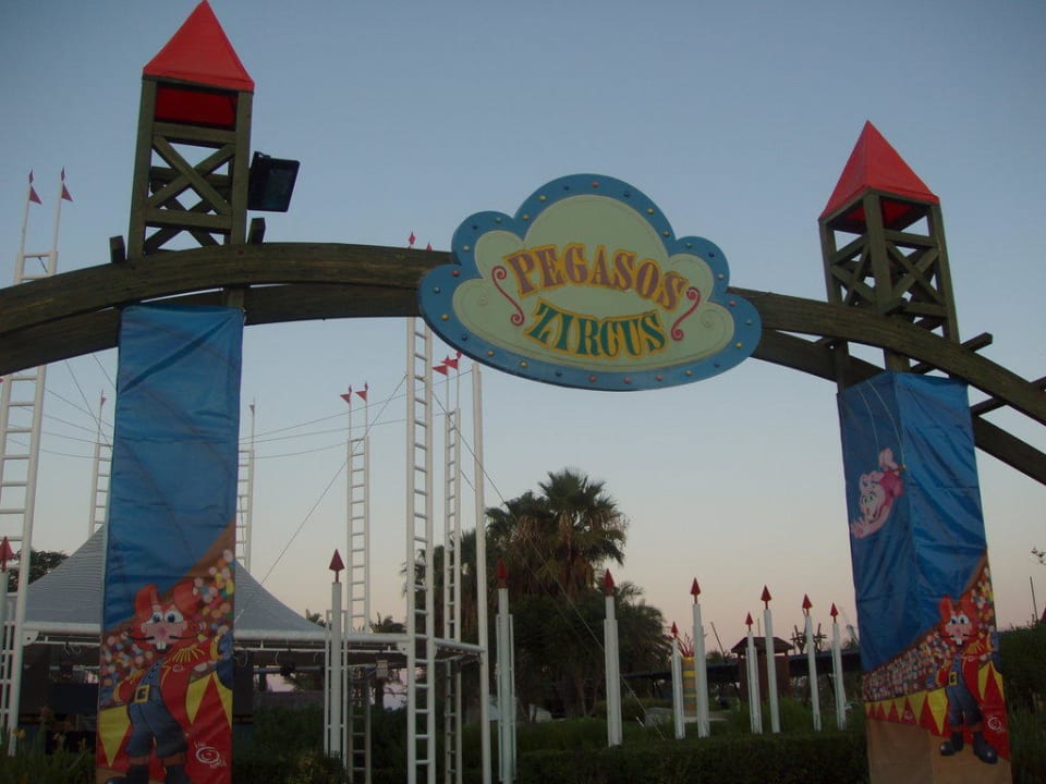 Kinderanimation AQI Pegasos World