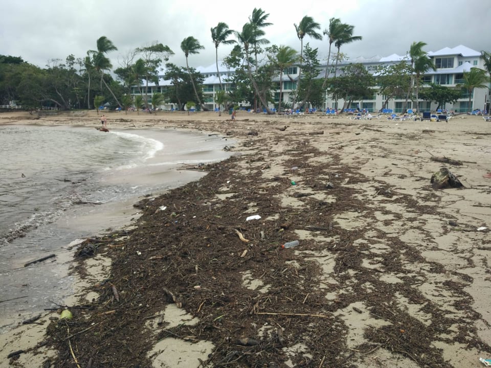 Müllhalde am Strand Grand Paradise Playa Dorada
