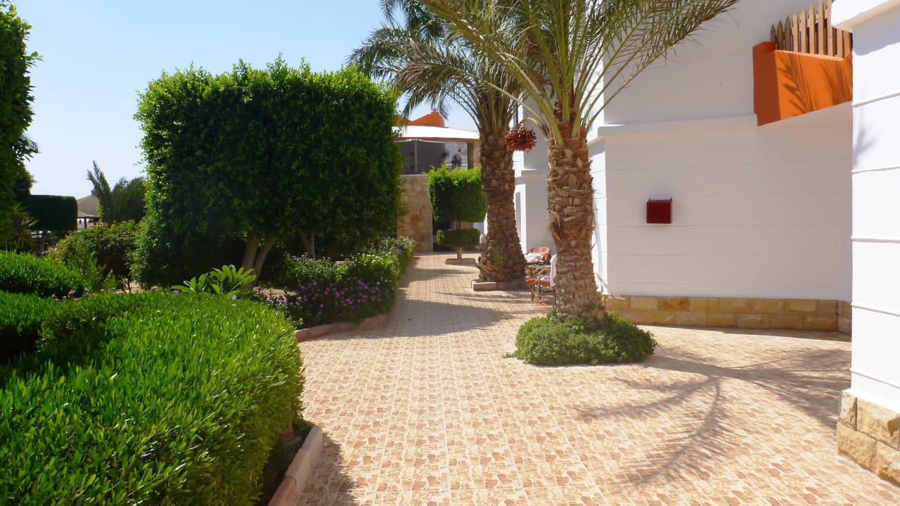 Standardzimmer Hotel Coral Garden