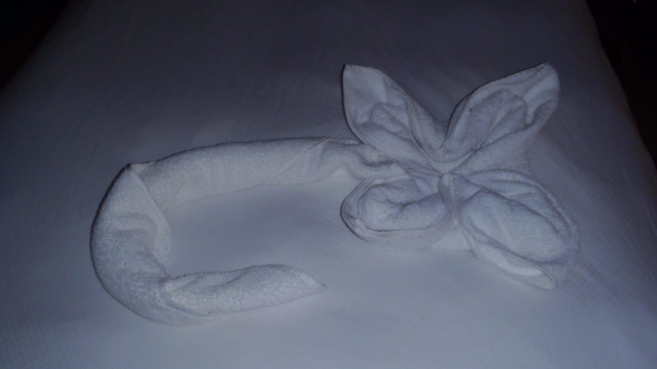 Kwiatek Serenity Alma Heights