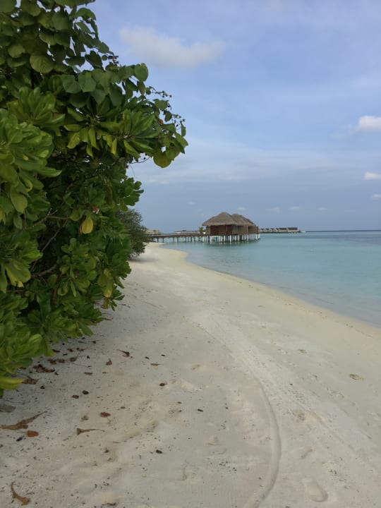 Außenansicht LUX South Ari Atoll