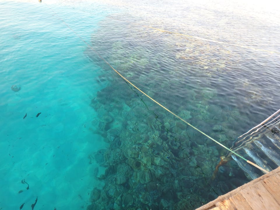 Strand Mövenpick Resort El Quseir