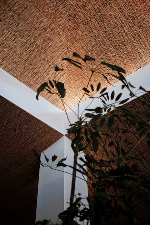 Lobby Prinsotel La Pineda