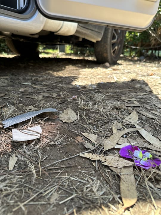 Gartenanlage HU Park Albatros Village by Happy Camp