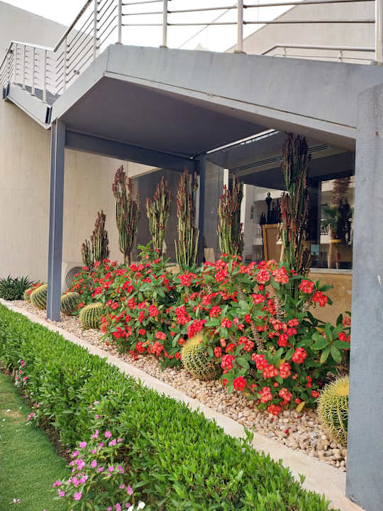 Gartenanlage Amarina Abu Soma Resort & Aquapark