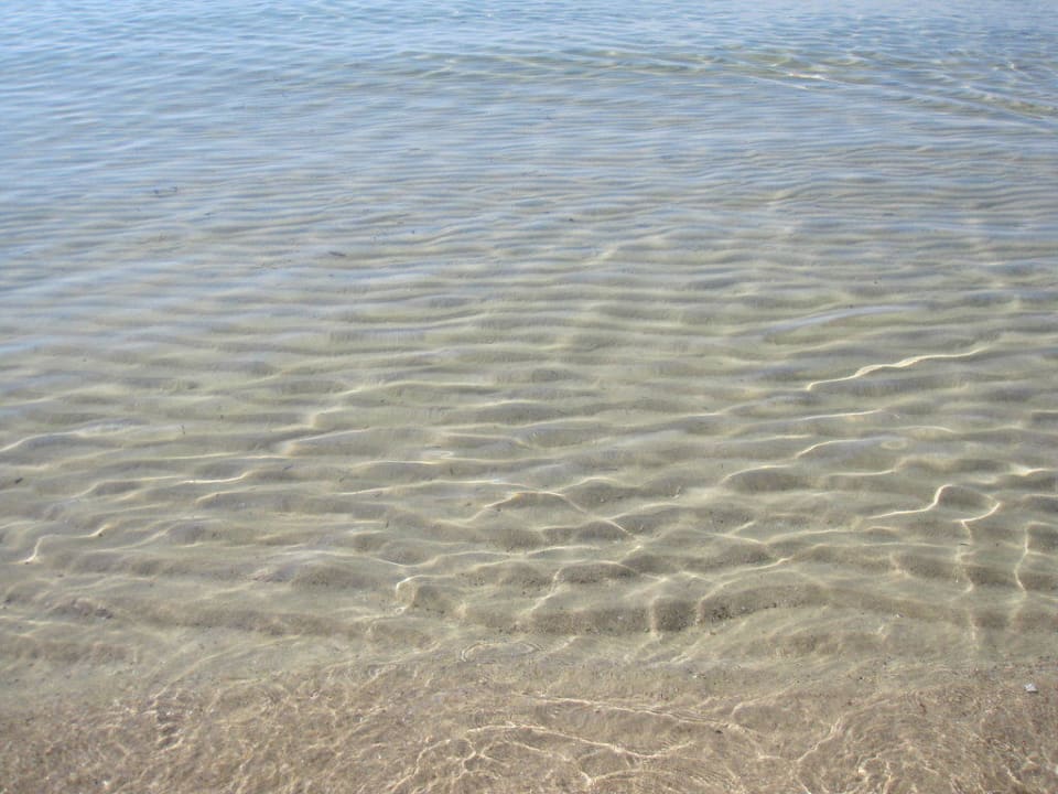 Strand Sentido Phenicia
