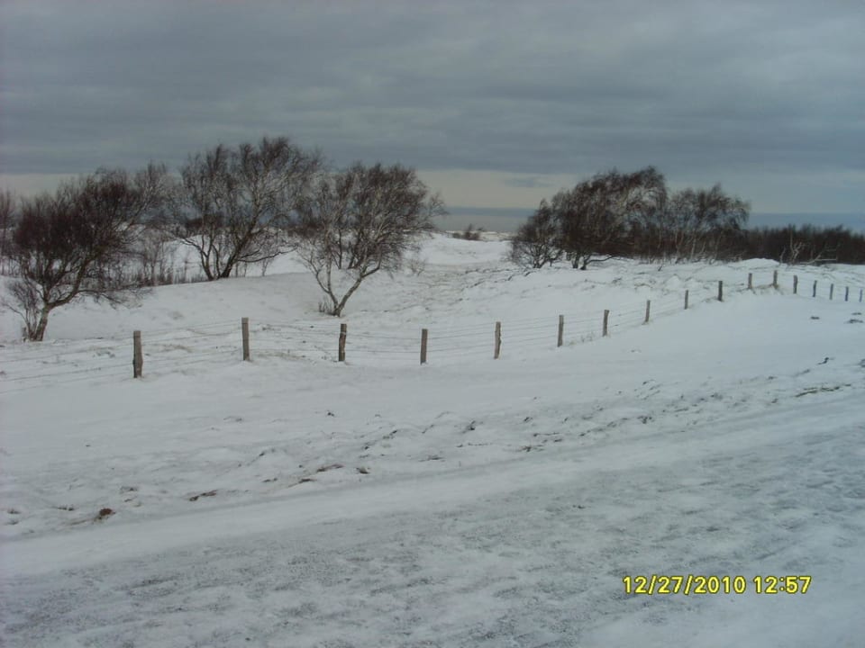 Sicht auf die Dünen Ferienwohnungen Ferienpark Weissenhäuser Strand