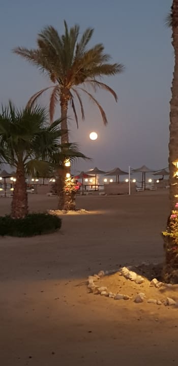 Strand Wadi Lahmy Azur Resort