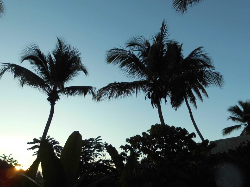 Ausblick Ozeanic Caribbean Hotel Apartment
