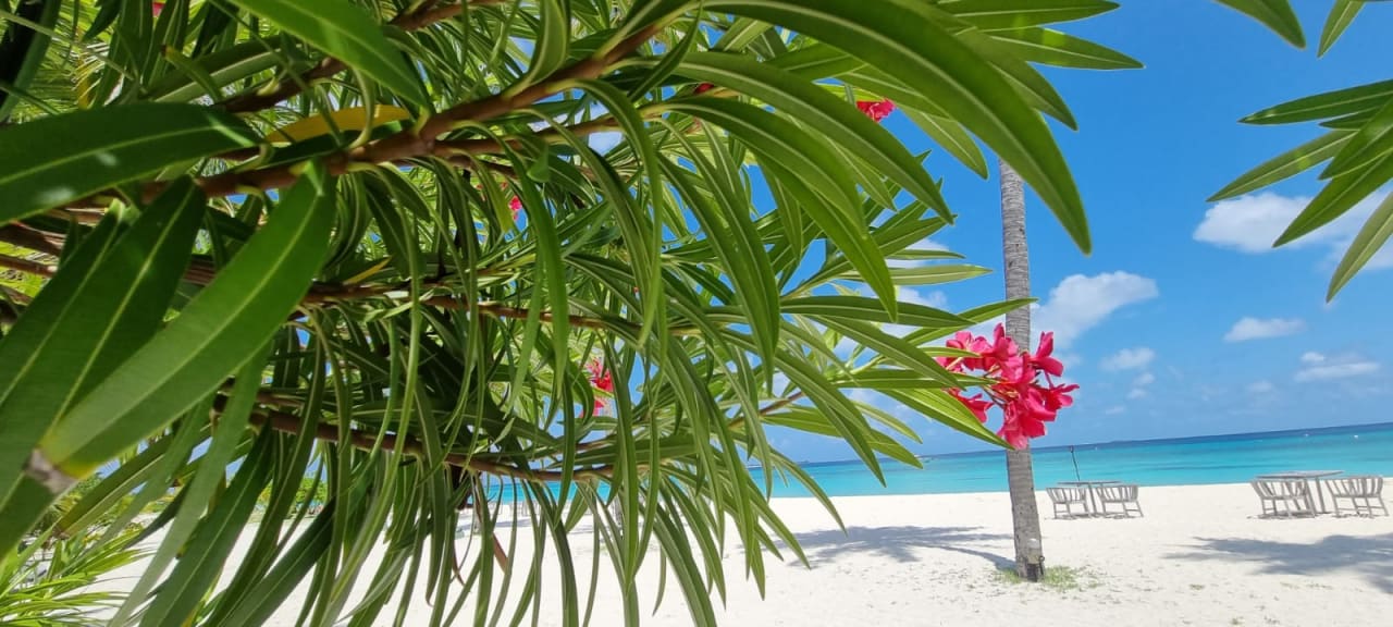 Strand Kuredu Island Resort & Spa
