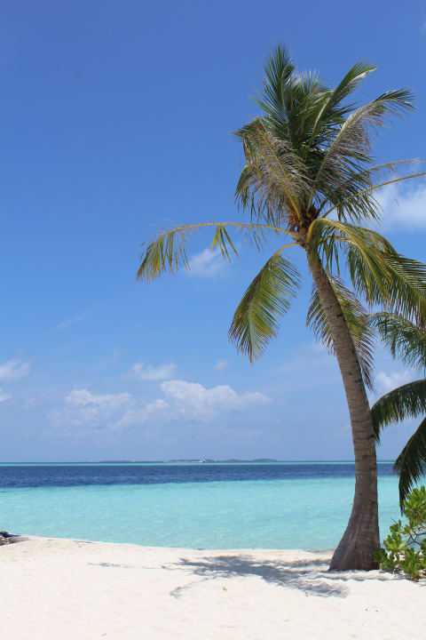 Inselhopping Embudu Village