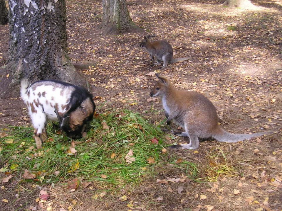 Schlosspark Hotel Schloss Jemniste