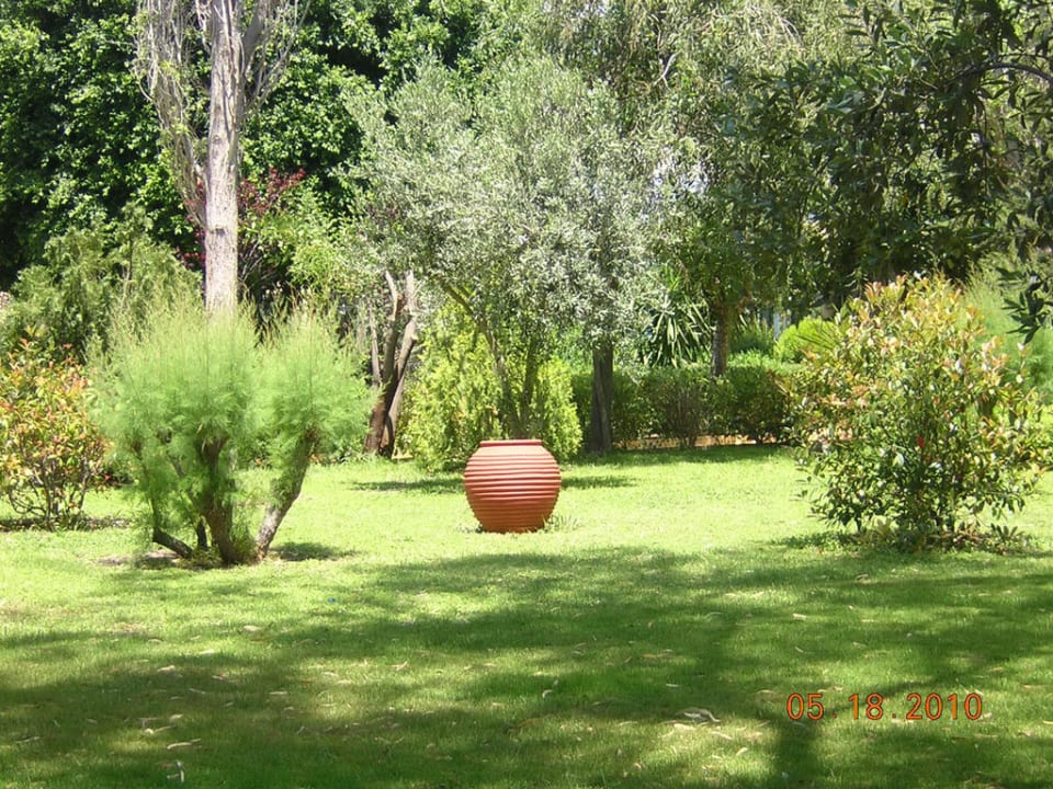 Hotelgarten Dionysos Hotel