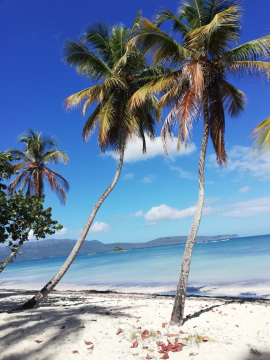 Strand Wyndham Alltra Samana