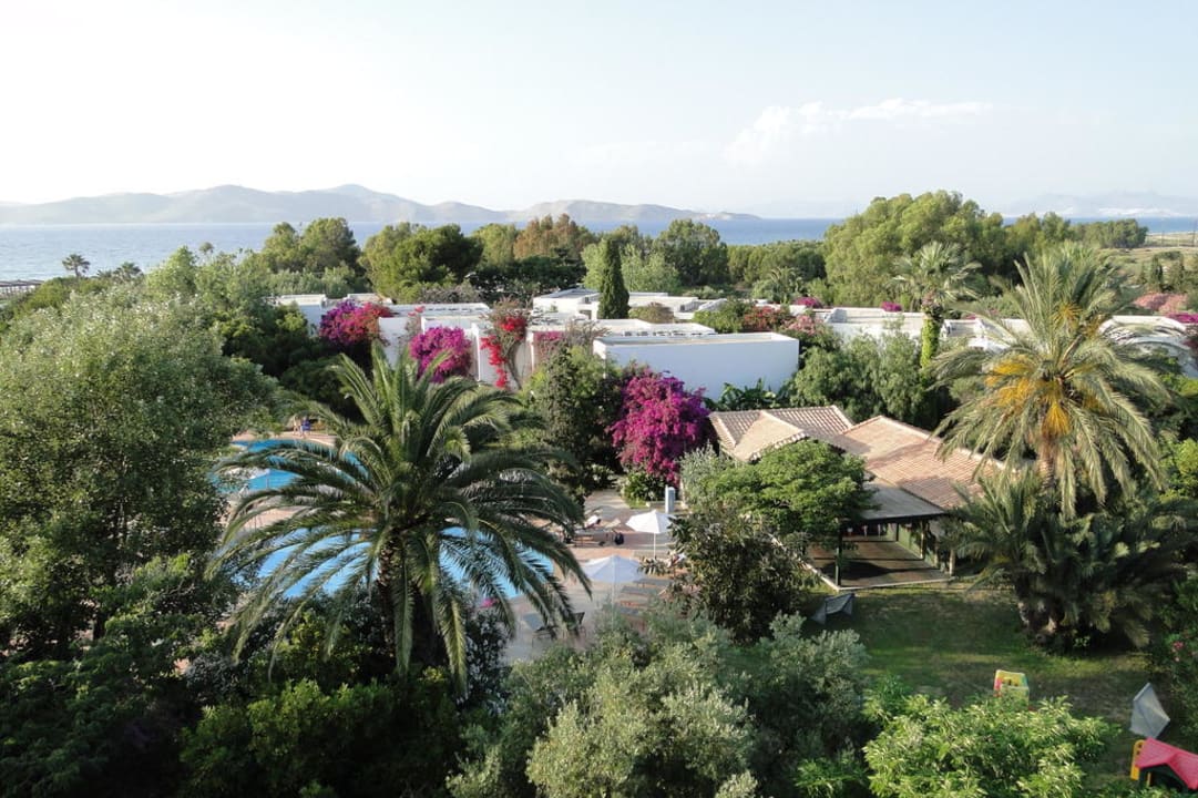 Gartenanlage mit Bungalows Caravia Beach Hotel