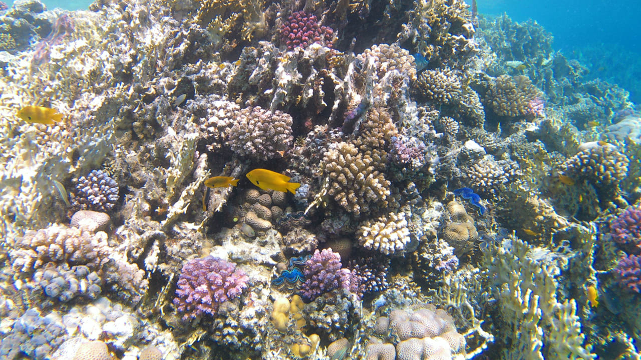 Sport & Freizeit Makadi Spa - Adults only