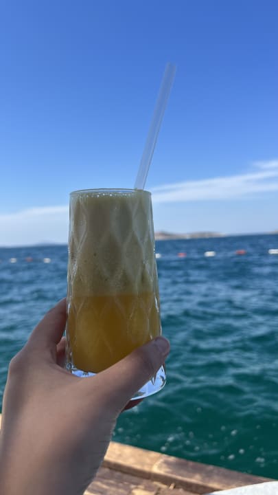 Gastro The Plaza Bodrum