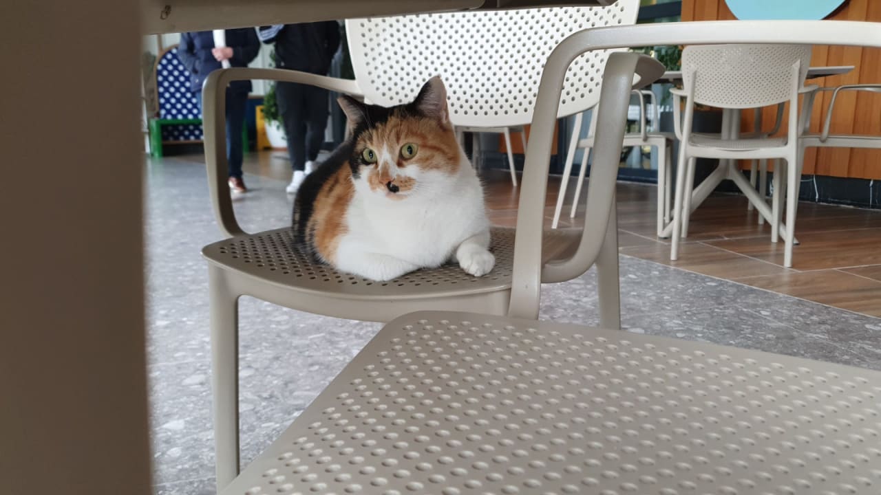 Gastro Seaden Quality Resort & Spa