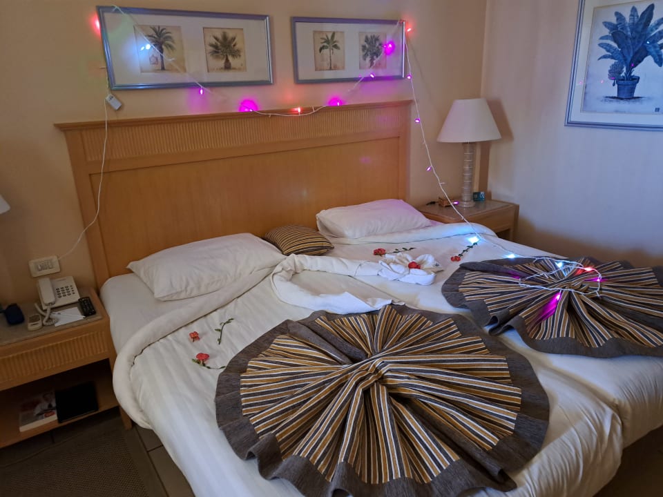 Zimmer Hotel JAZ Makadi Star & Spa