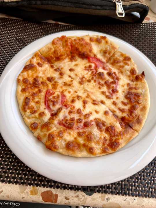 Gastro Seashell Vega