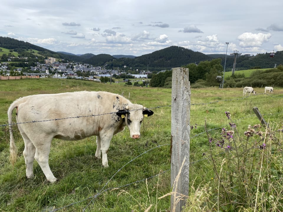 Ausblick Wiesenberghof