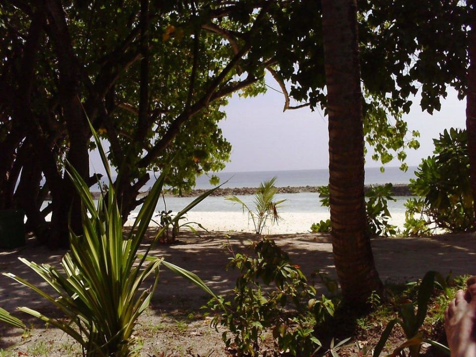Sicht vom Bungi auf den Strand Kuramathi Maldives