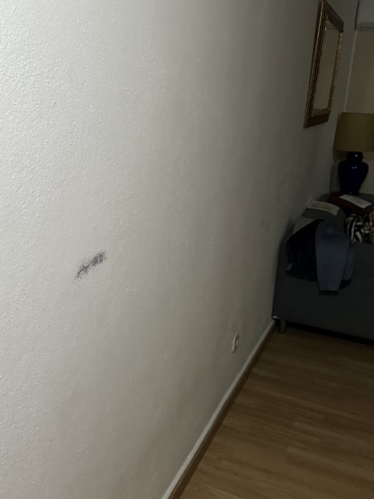 Zimmer Tropical Nights 3