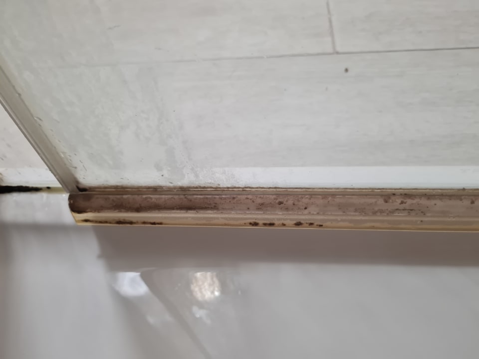 Zimmer Alcudia Garden Aparthotel