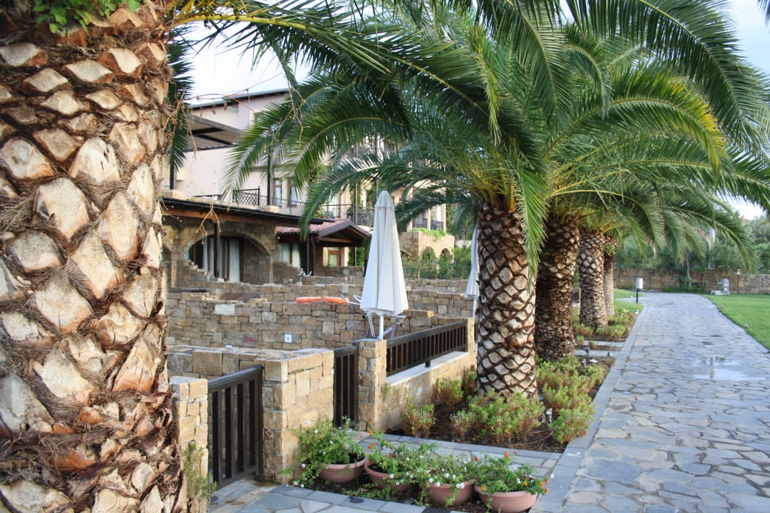 Anthemus Sea Beach Hotel & Spa Anthemus Sea Beach Hotel & Spa