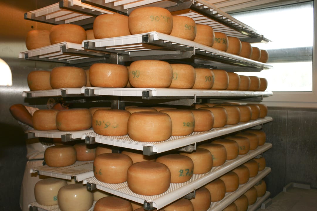 Der Schafkäse reift für die Gäste... Biohotel Stiftsgut Wilhelmsglücksbrunn