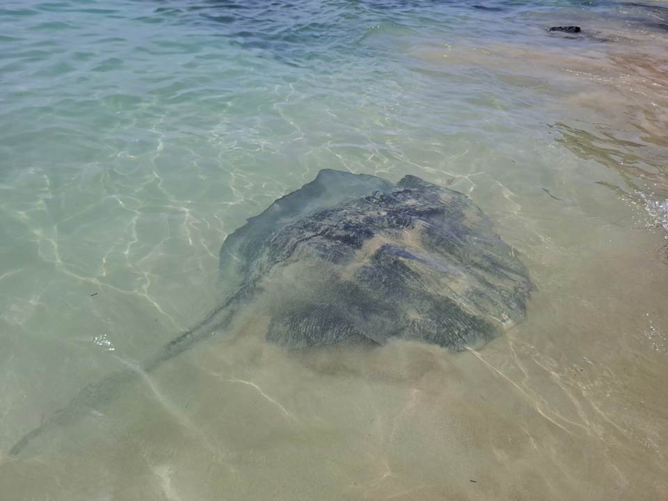 Strand SBH Club Paraiso Playa