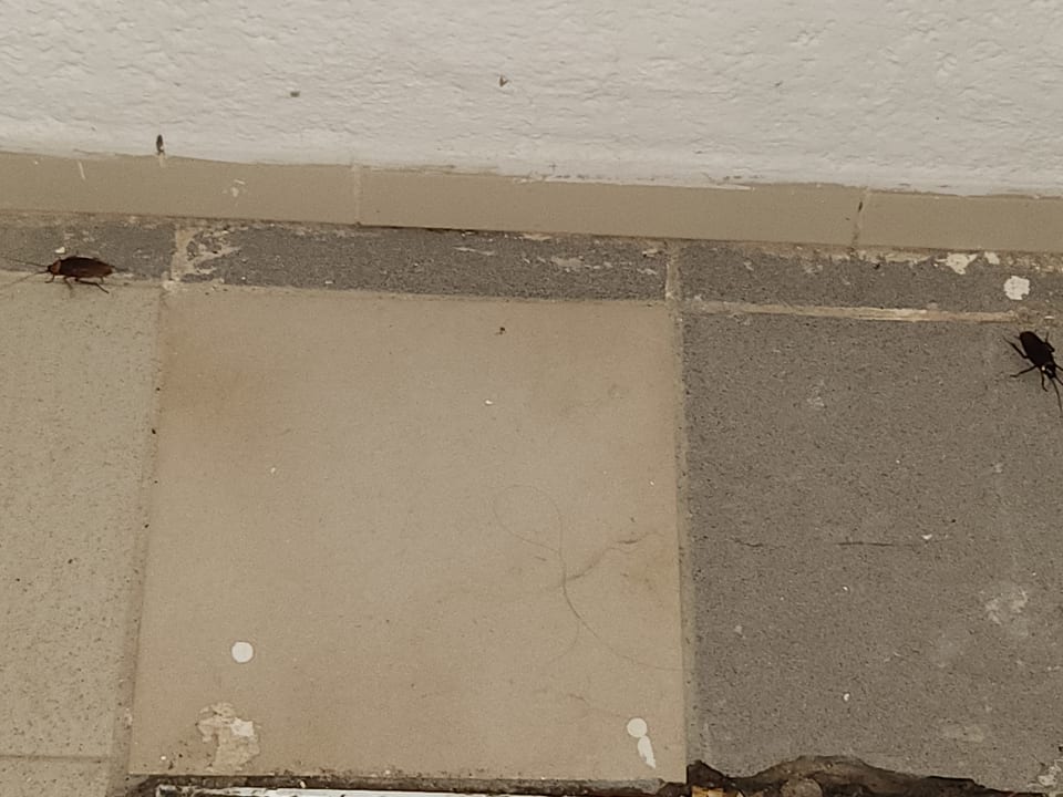 Außenansicht Hotel El Mouradi Djerba Menzel