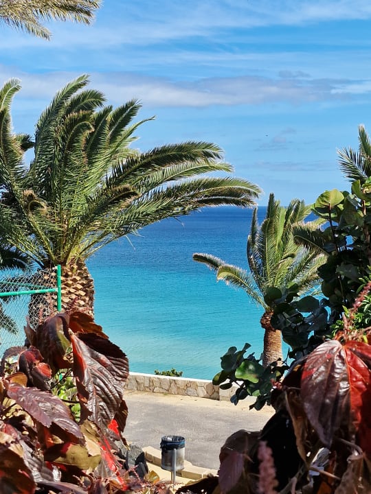 Außenansicht SBH Club Paraiso Playa