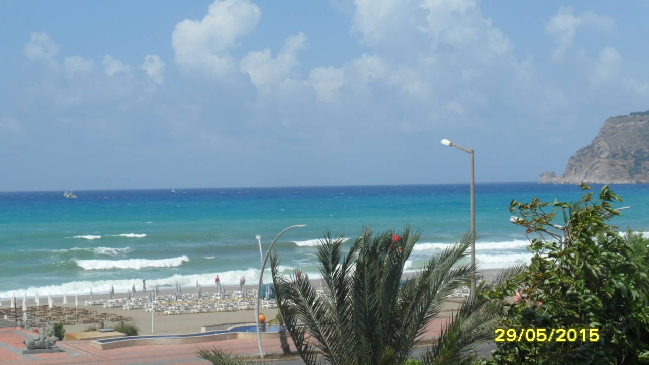 304 Blue Diamond Alya